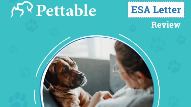 Is Pettable Legit?