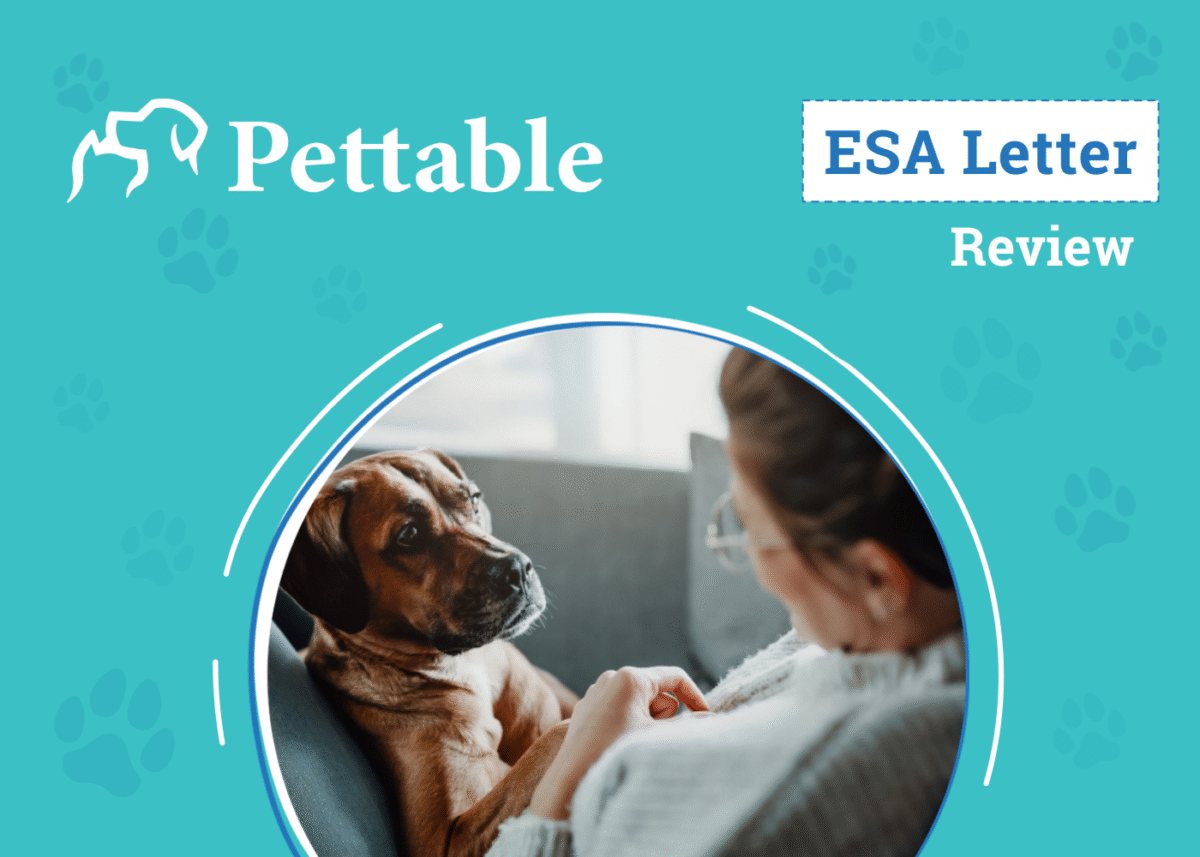 Is Pettable Legit?