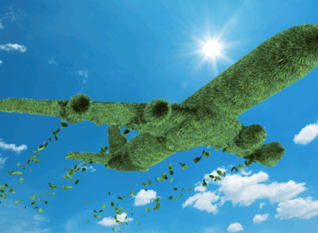 The Future of Sustainability in Aviation Operations