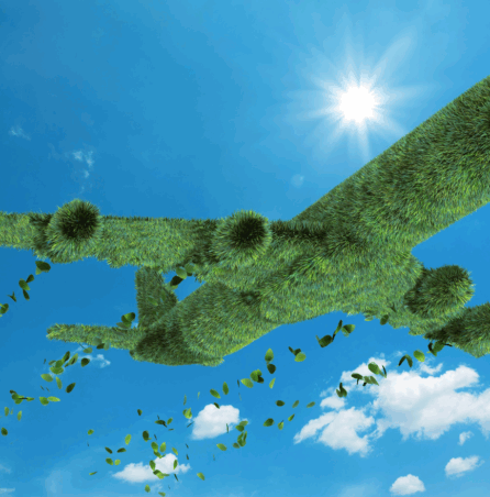 The Future of Sustainability in Aviation Operations