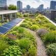 Choosing the Best Green Roofing Service Near You
