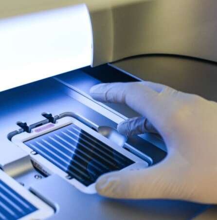 Decoding Cell Behavior: Insights Into Health and Disease