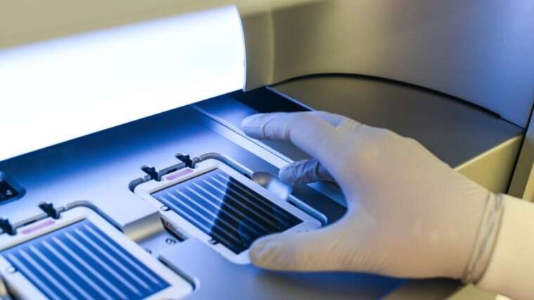 Decoding Cell Behavior: Insights Into Health and Disease