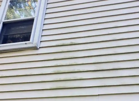 Siding Is Failing