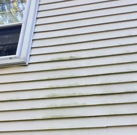 Siding Is Failing