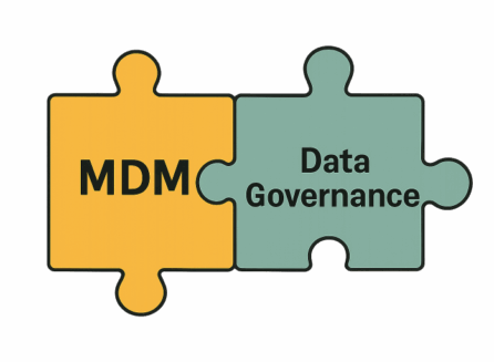 Master Data Management